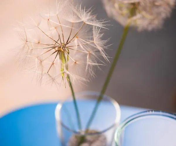 On The Rocks Apart Otel 3*